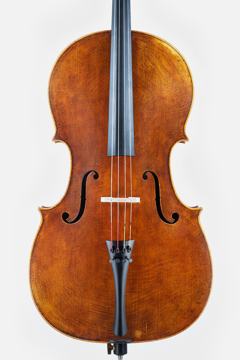 Violoncello nach David Tecchler, Julia Jostes und Simon Eberl, Korpuslänge 74,7 cm