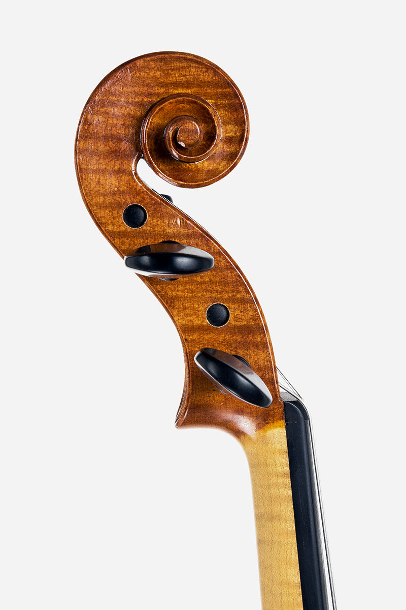 Viola, nach Giacomo Gennaro. Julia Jostes, Korpuslänge 39,6 cm