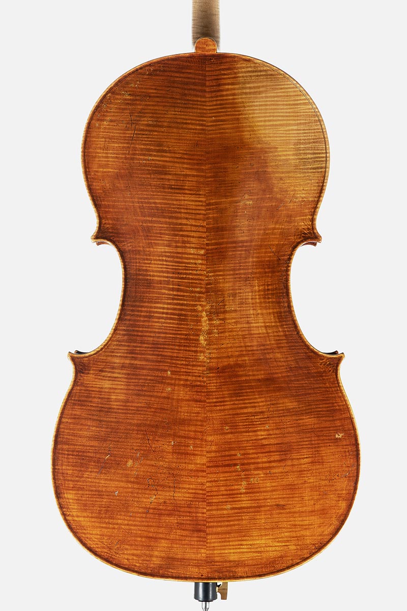 Violoncello nach David Tecchler, Julia Jostes und Simon Eberl, Korpuslänge 74,7 cm