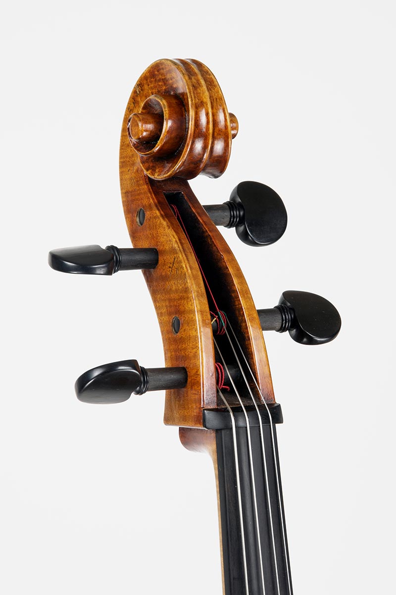 Violoncello nach David Tecchler, Julia Jostes und Simon Eberl, Korpuslänge 74,7 cm