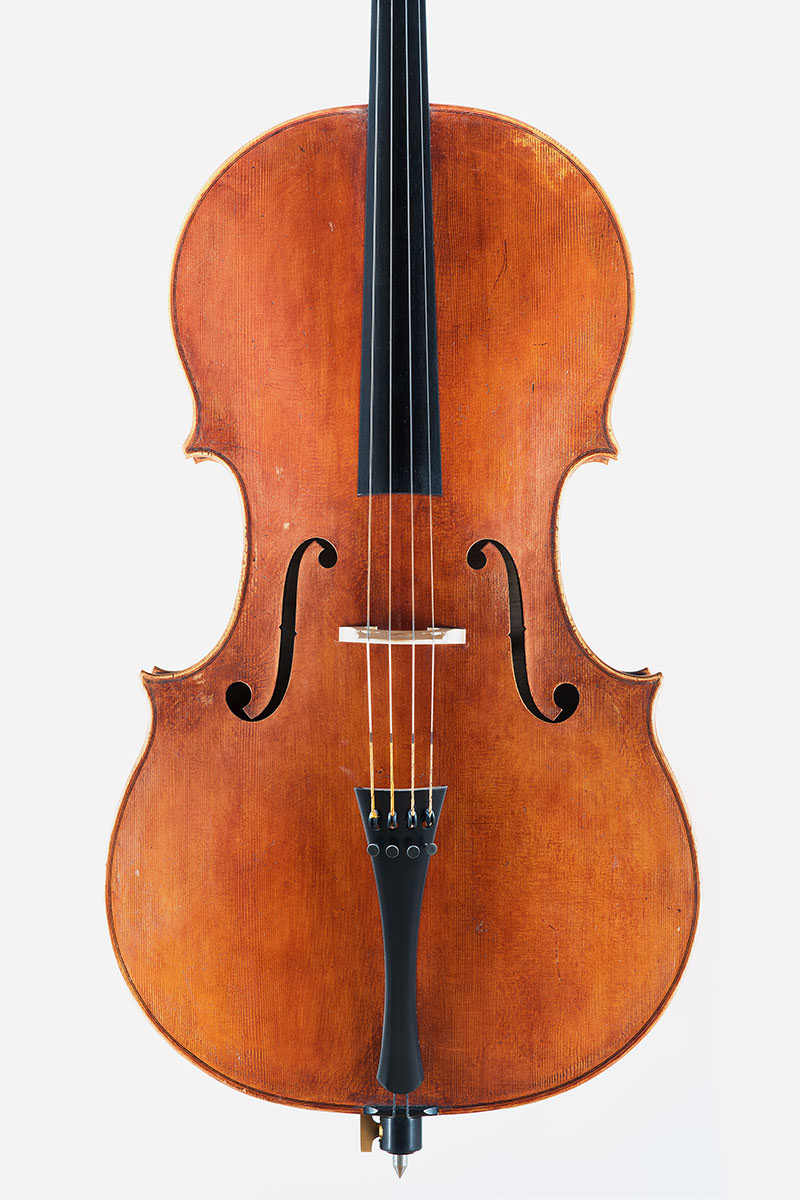 Cello, frei nach Matteo Goffriller. Julia Jostes, body length:: 76 cm