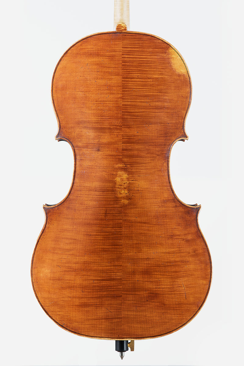 Cello, frei nach Matteo Goffriller. Julia Jostes, body length:: 76 cm